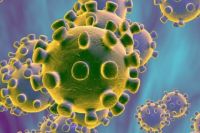 Китайские ученые сообщили, что симптомы коронавируса постепенно стали похожими на симптомы гриппа.