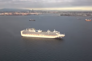 Вспышка коронавируса на лайнере Grand Princess: на борту находятся украинцы