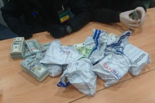 На границе Польши и Украины пресекли рекордную контрабанду валюты