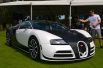 Bugatti Veyron Vivere By Mansory — 3,4 млн долларов. В 2014 году компания Bugatti представила модель Veyron Vivere от тюнинг-ателье Mansory в узнаваемом черно-белом кузове. 