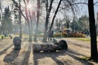 В Запорожье умерла девочка, на которую упал деревянный медведь
