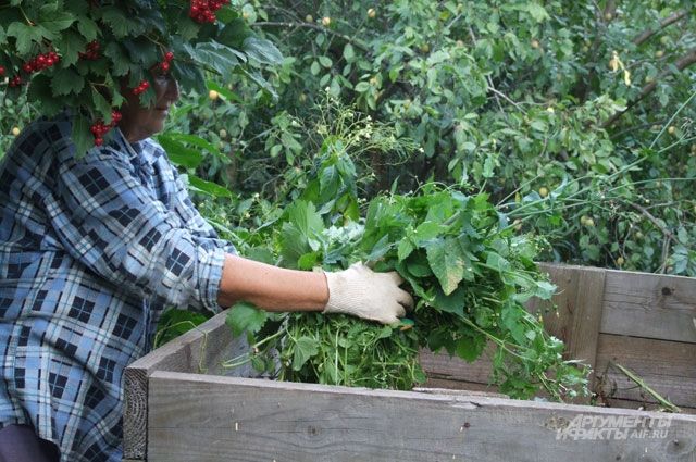 Урожай без химии и вони: как организовать компост на даче?