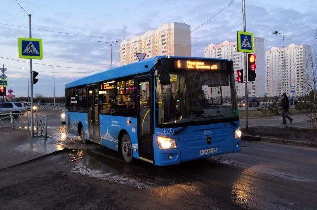 Правительство России приняло закон, который запрещает высаживать из общественного транспорта детей без билетов.