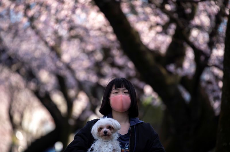 Девушка с собакой на фоне цветущих деревьев в префектуре Сайтама.
