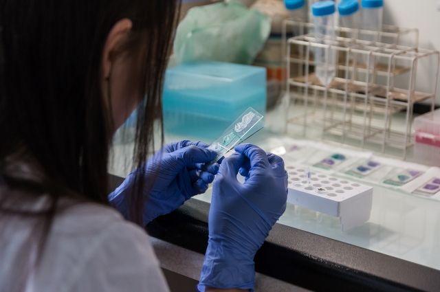 В крае развернут пять лабораторий для анализов на коронавирус