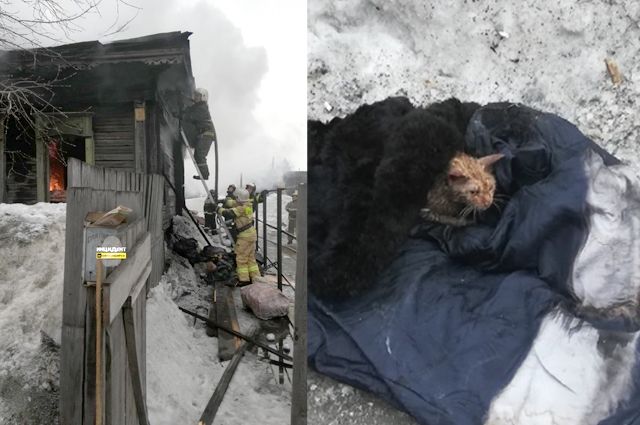Утром 21 марта в селе Новолуговое вспыхнул пожар в частном доме.