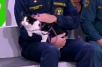 Кот выжил в страшном пожаре в Мочище, он стал жить вместе со спасателями и переловил всех мышей.