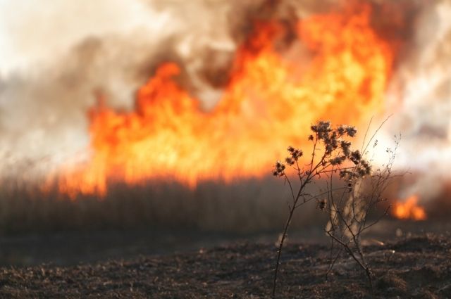 Печальное «лидерство» по количеству и масштабу степных пожаров пока удерживает Усть-Абаканский район.
