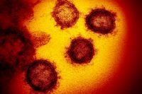 Ученые обнаружили, что коронавирус может жить на поверхностях до 17 дней