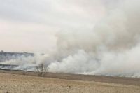Во Львове предложили увеличить штраф за сжигание сухой травы в 200 раз