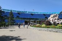 Новосибирский зоопарк закрылся для посетителей с 28 марта по 5 апреля.