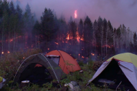 В ряде районов в лесничествах сформированы оперативные штабы, которые координируют работу по мониторингу пожарной опасности и тушению возгораний в лесах.
