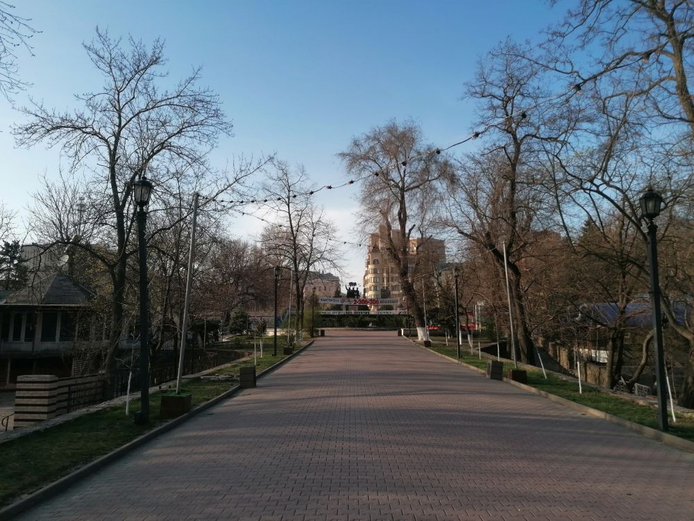 Главная аллея парка Горького в Ростове-на-Дону.
