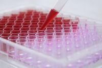 В Киевской области девушка излечилась от коронавируса