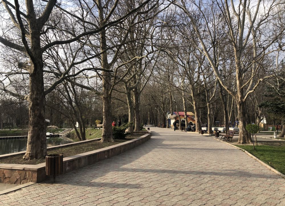 Аллея в парке им. Гагарина.