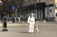 Виталий Кондратьев выгуливает свою собаку Черри на ул. Трёхсвятской.