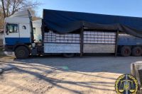 В Харькове изъяли около 25 тысяч бутылок контрафактного алкоголя