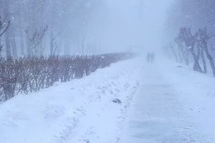 В Тюменской области прогнозируют штормовой ветер со снегом
