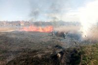 Количество пожаров в экосистемах Украины увеличилось на четверть