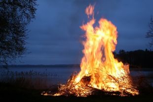 В тюменских лесах вводят особый противопожарный режим