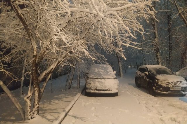 С тюменских улиц за сутки вывезли более семи тысяч кубометров снега