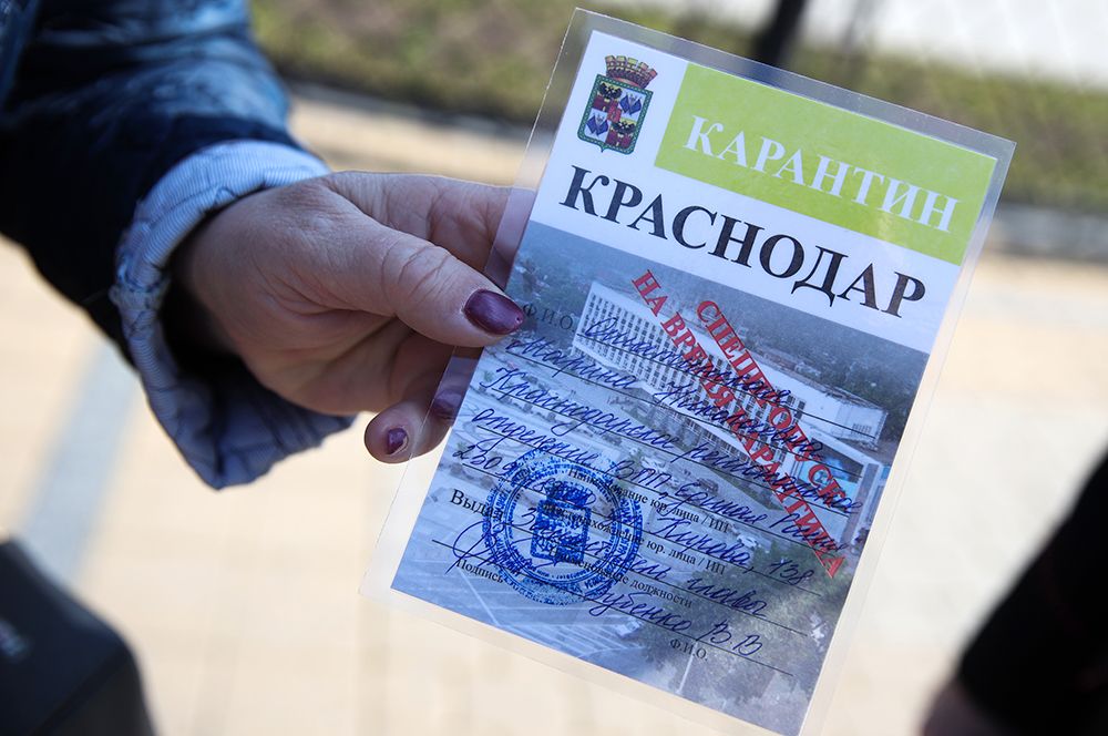 Краснодар. Пропуск желтого цвета для сотрудников предприятий, которые продолжат работу в условиях карантина.