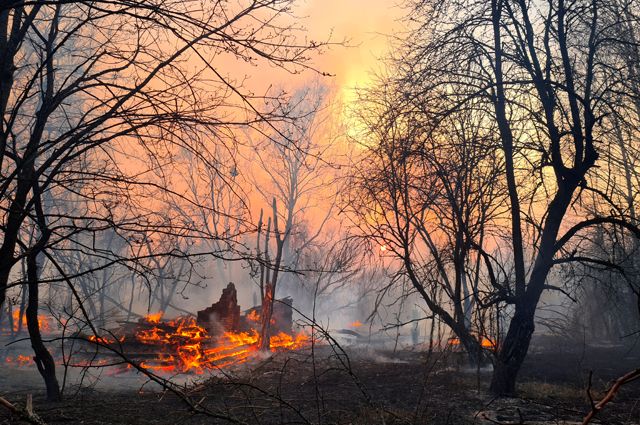 Пожары в зоне отчуждения вокруг Чернобыля.
