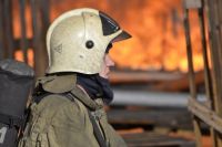Только за минувшие выходные сотрудники краевого Лесопожарного центра ликвидировали 7 лесных пожаров.