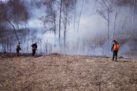 С 10 апреля в южных, центральных и западных районах Иркутской области действует особый противопожарный режим.