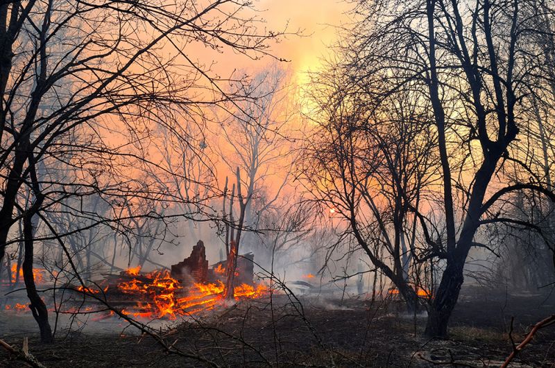 Пожары в зоне отчуждения Чернобыльской АЭС.