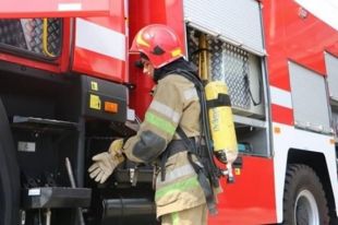 В Чернобыльской зоне полностью потушили пожар, - Госэкоинспекция. Фото иллюстративное.