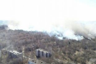 Полиция вручила подозрение еще одному поджигателю в зоне ЧАЭС
