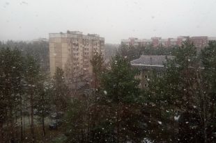 С неба вдруг повалили огромные хлопья.
