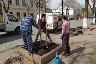 На главной улице Оренбурга высадят 50 деревьев