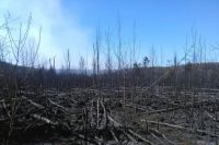 Ситуация в зоне ЧАЭС нормализуется, - Шмыгаль
