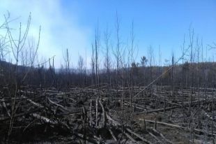 Ситуация в зоне ЧАЭС нормализуется, - Шмыгаль