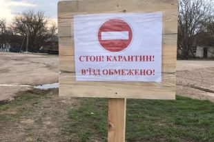 В Николаевской области из-за вспышки СOVID-19 на карантин закрыли село