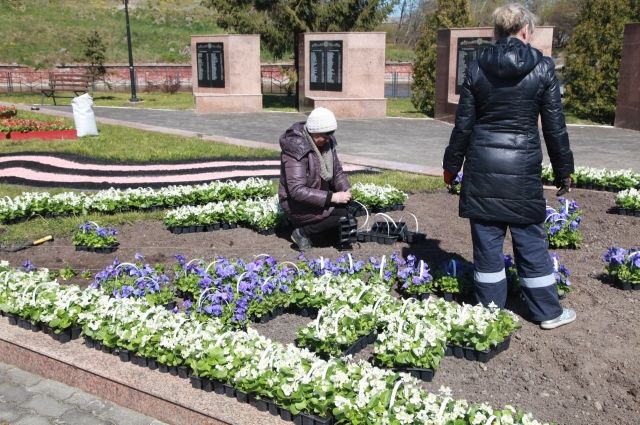 На братских захоронениях в Балтийске началась высадка цветов