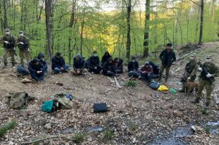 В Закарпатской области пограничники со стрельбой задержали 12 нелегалов