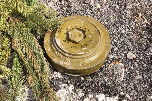 В Калининградской области сапёры обезвредили шесть боеприпасов времён войны