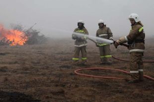 ГСЧС продолжает бороться с огнем в Житомирской области и зоне ЧАЭС