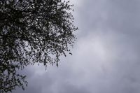 Сегодня ожидаются осадки.