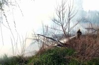 В Житомирской области при сжигании сухостоя погибла пенсионерка