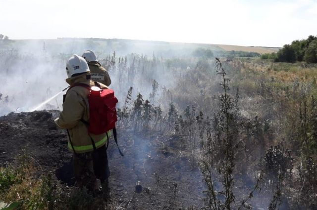 Тюменцам запретили посещать леса из-за угрозы возникновения пожара