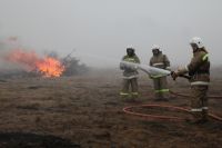 С начала года пожарные уже потушили 16 лесных пожаров и 231 степной.