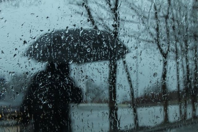 Погода на 4 мая: на всей территории Украины ожидаются грозовые дожди