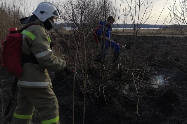 Больше 60 возгораний сухой травы ликвидировали в городе с 10 апреля.
