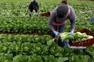 Запрета на выезд граждан Украины на работу за границу нет – Кулеба