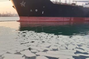 В Одесской области судно разлило в море более 8 тонн пальмового масла