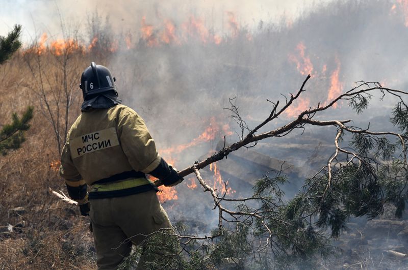 Природный пожар в районе поселка Антипиха в пригороде Читы.